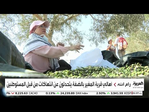 إطلاق مبادرة لحماية مزارعي الزيتون في رام الله من اعتداءات المستوطنين