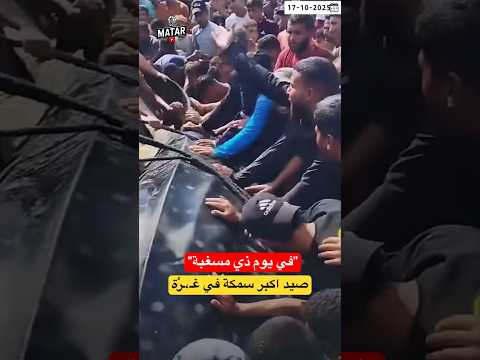 سبحان الله! صيد اكبر سمكة كبيرة في شاطئ غـ،رْة.. "او إطعام في يوم ذي مسغبة" !!