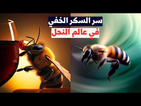 سر السكر الخفي في عالم النحل: اكتشف كيف يسكر النحل بنكهات مختلفة 🍯🥂🐝"