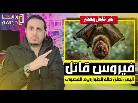 فيـ ـروس قـ ـاتل ⚠️ وزارة الصحة تعلن حالة الطوارىء والتأهب القصوى في اليمن 🇾🇪 ونسبة الوفاة 88%