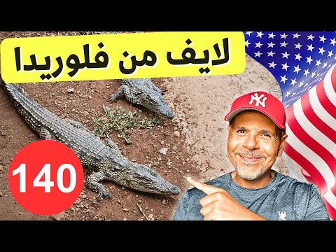 الهجرة لأمريكا | سؤال وجواب ١٤٠